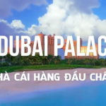 Review Dubai Palace – Nhà cái cá cược siêu cuốn hút tại Việt Nam