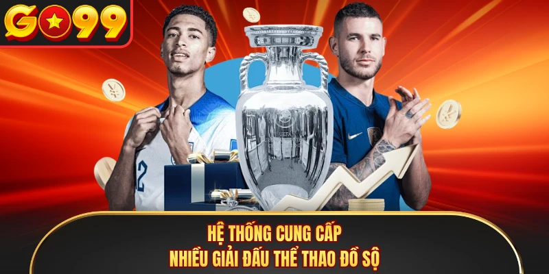 Hệ thống cung cấp nhiều giải đấu thể thao đồ sộ