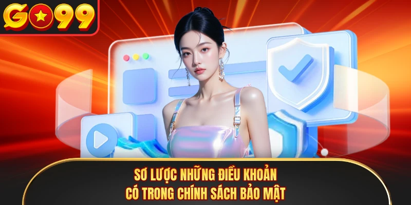 Sơ lược những điều khoản có trong chính sách bảo mật